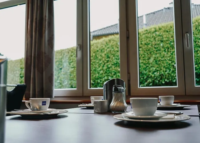 Steinbichler - Und Check In 24-7